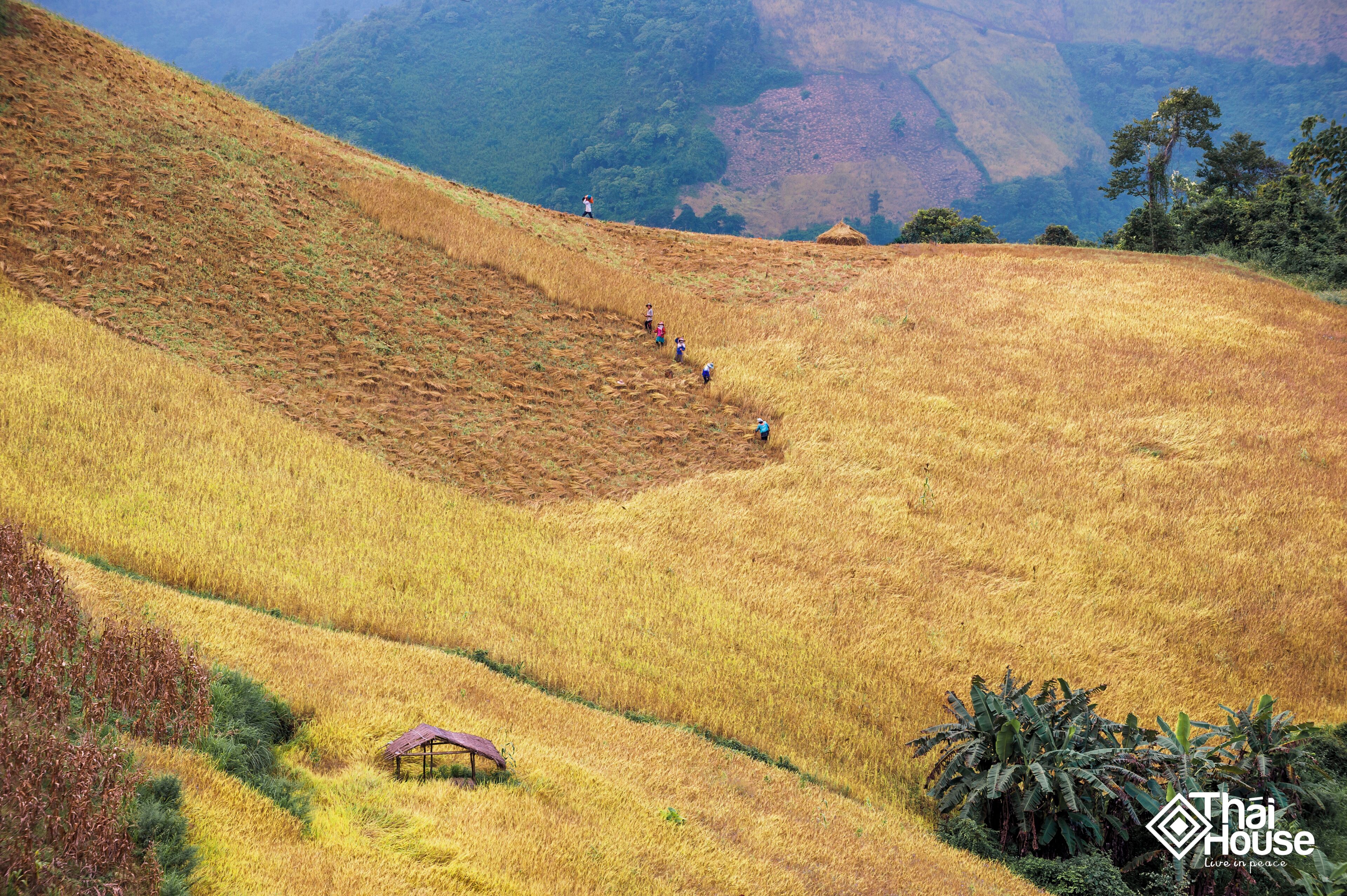 A hilly landscape with a small structure at the bottom.