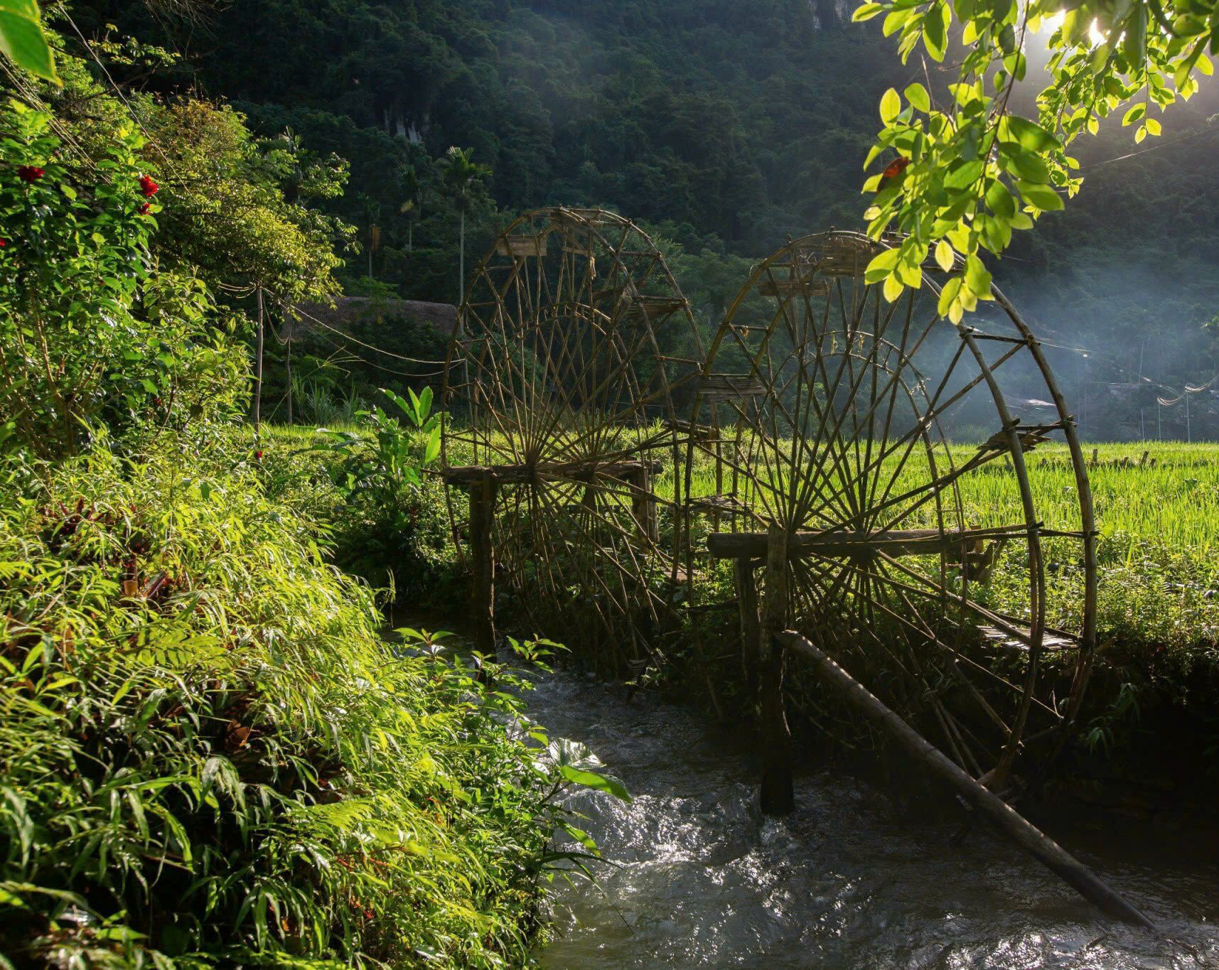 A traditional water wheel in a lush, green landscape with dense vegetation and a clear stream.
