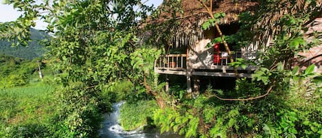 Phòng Executive | Trang trí khác biệt, trang bị nội thất với thiết kế riêng biệt, bàn