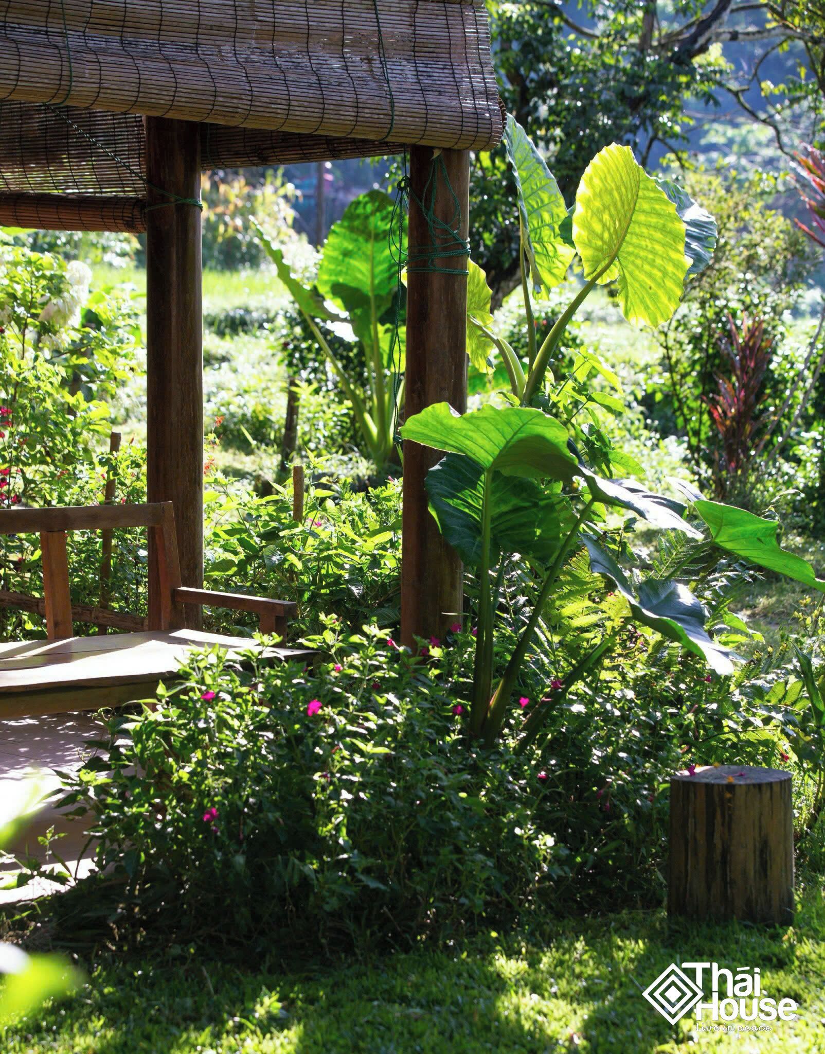 A wooden structure with a thatched roof, surrounded by lush greenery and flowering plants.