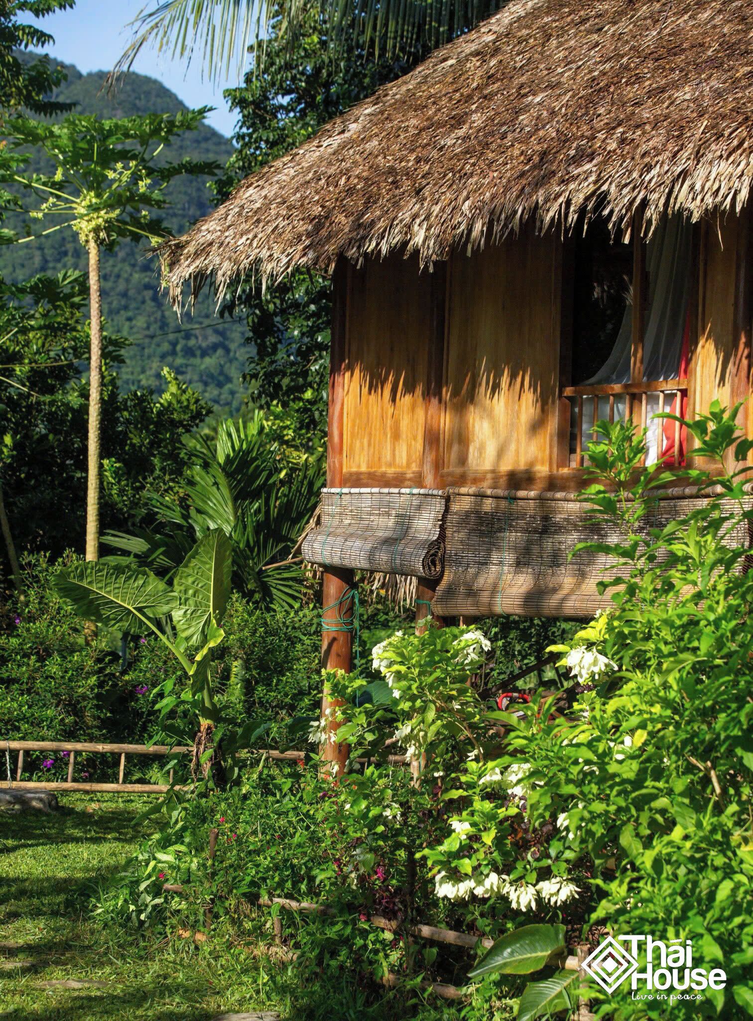 A rustic thatched-roof house surrounded by lush greenery and a mountain backdrop.