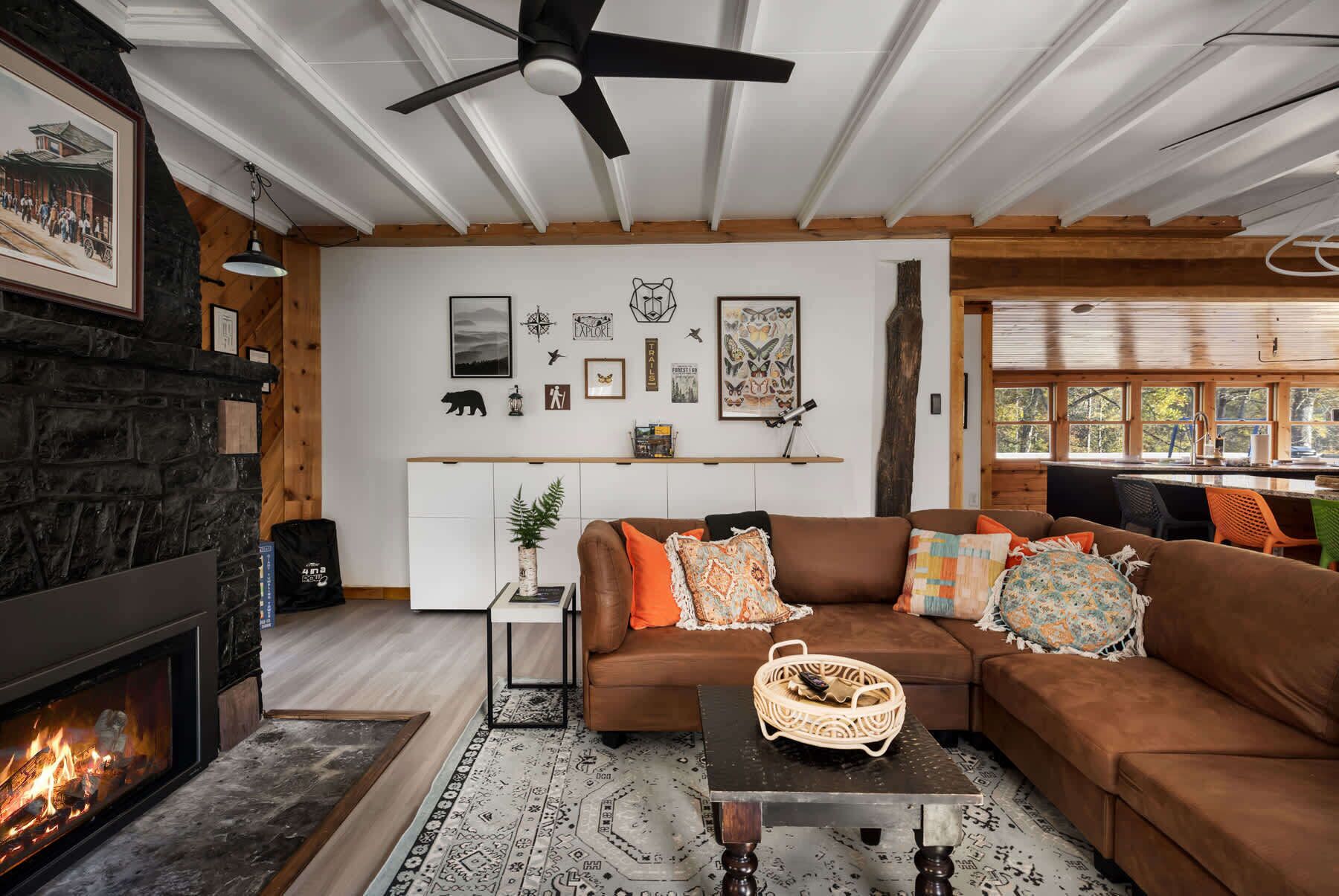 TV, fireplace, books, offices