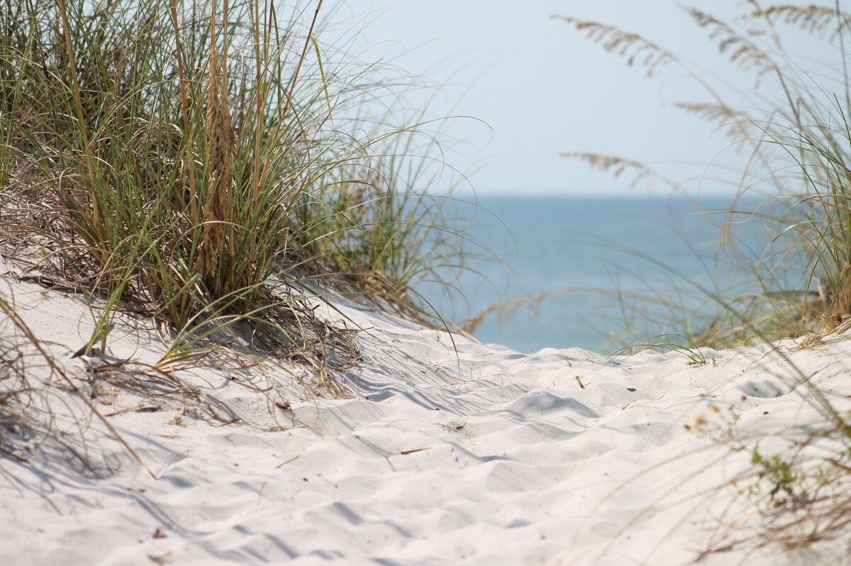 A sandy beach with sparse vegetation and a view of the ocean.