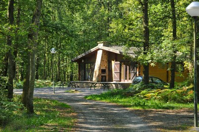 Chalet in Belgium Near Scenic Hiking Trails