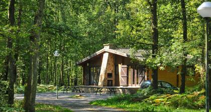 Chalet in Belgium Near Scenic Hiking Trails