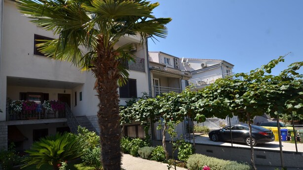 A residential area with a palm tree, a garden with various plants, and a street with parked cars. - Sleek and Serene Flat and Rooms (Rovinj)