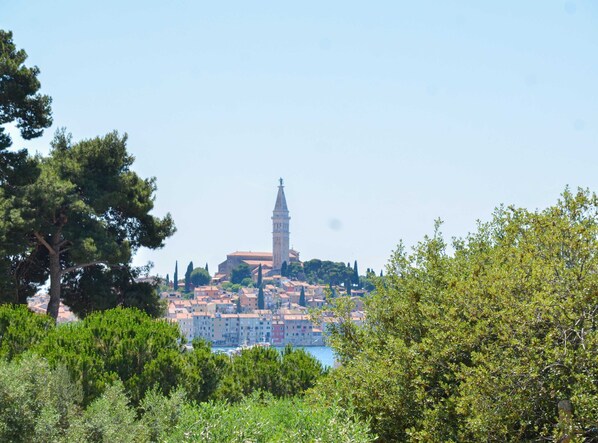 A coastal town with a prominent tower, surrounded by greenery and buildings with red-tiled roofs. - Classic and Elegant Rovinj Apartments With Balcony (Rovinj)