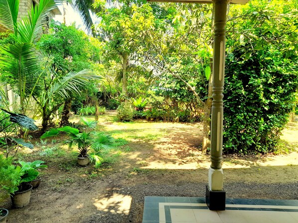Property grounds - Senarath Villa (Mirissa)