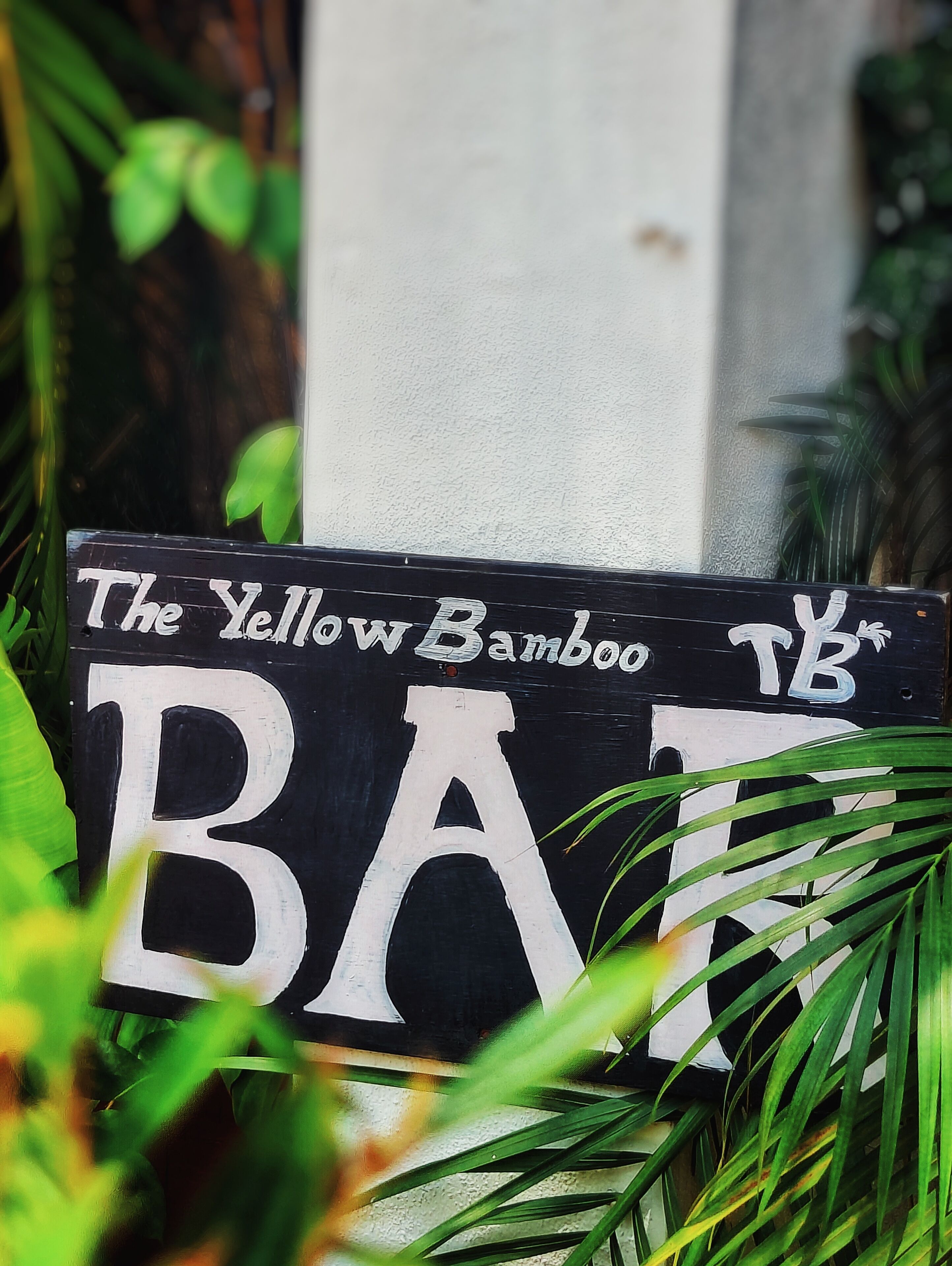 A sign with the text "The Yellow Bamboo" and "B&B" indicating a bed and breakfast establishment.