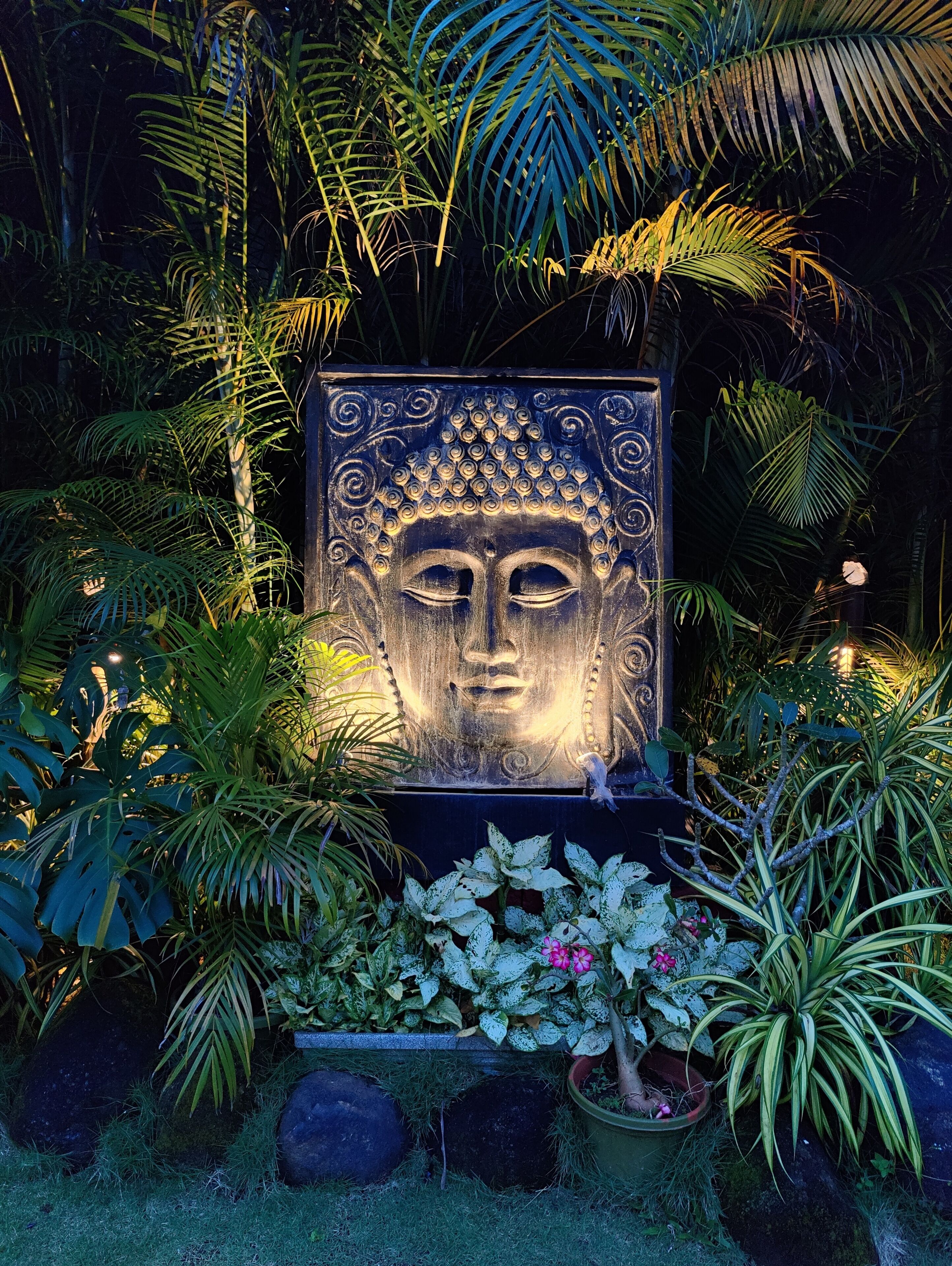 A Buddha statue surrounded by lush tropical plants and rocks.