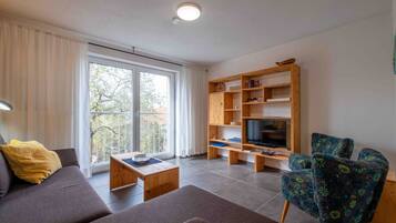 Fernseher
