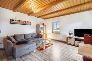 Fernseher, Stereoanlage