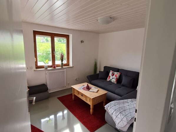 A living room with a sofa, a wooden coffee table, a red rug, a window with plants, and a radiator.