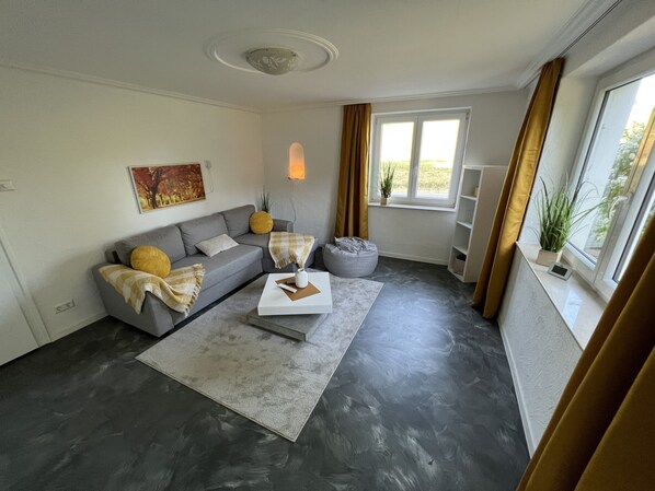 A living room with a grey sofa, a coffee table, a grey rug, a potted plant, and a window with curtains.