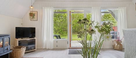 Fernseher, Kamin