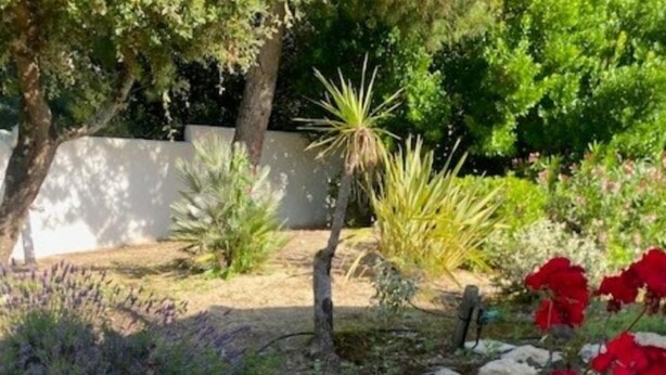 Un jardín con terraza de madera, flores rojas y diversas plantas.