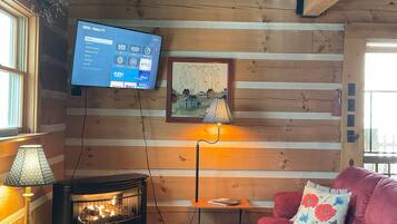 Télévision, cheminée, livres