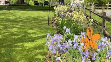 Detall de l'exterior