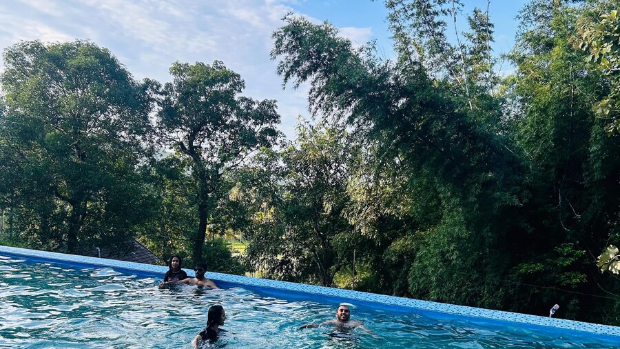 Misty Night Jungle Side Resort