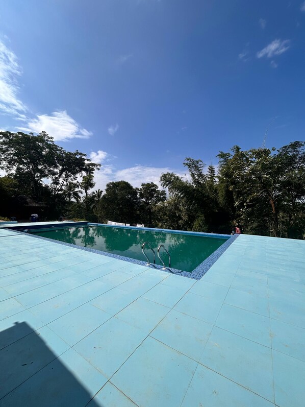 A swimming pool with a tiled deck and metal handrails, surrounded by trees and a clear sky. - Misty Night Jungle Side Resort (Sulthan Bathery)