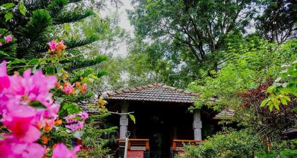 Misty Night Jungle Side Resort