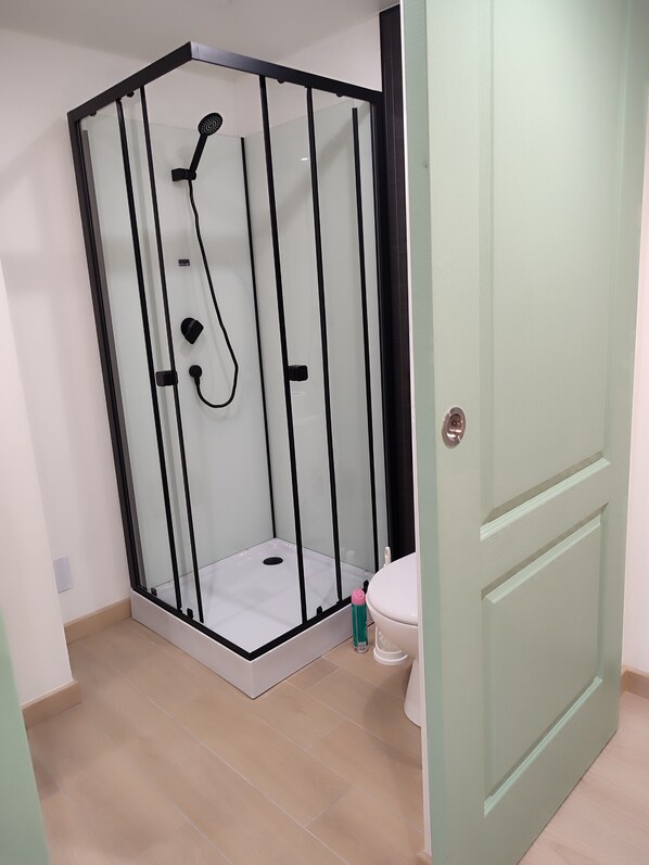 Une salle de bain moderne avec une douche à parois de verre, des toilettes et une porte.