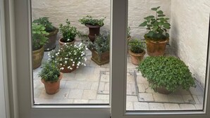 Une petite cour intérieure, fermée, agrémentée de plantes en pot et d’un mur décoratif.