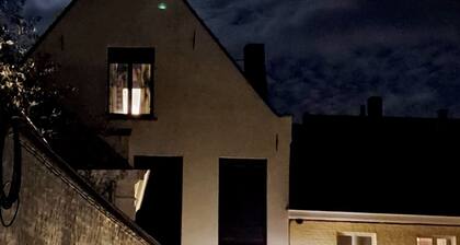 HAMILTONHOUSE, away from home but at home in the Bruges 'Unesco' center.