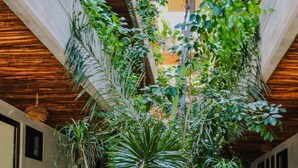 A courtyard with two wooden benches, a small round table, and lush greenery. - Esencia Botanic Piscina Privada  (Tulum)
