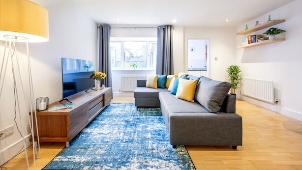 Uma sala de estar moderna com um sofá cinza, um tapete azul e uma TV sobre um suporte de madeira.