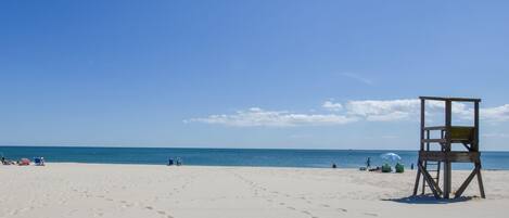 Playa en los alrededores