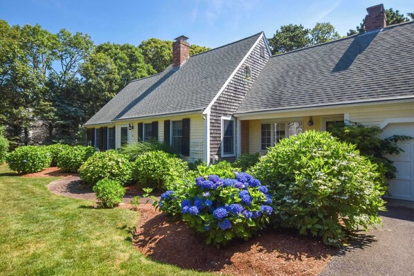 Exterior - Walk to Beach, Private Patio and Backyard! (Chatham)