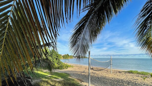 Una playa con una hamaca, palmeras y un mar tranquilo.