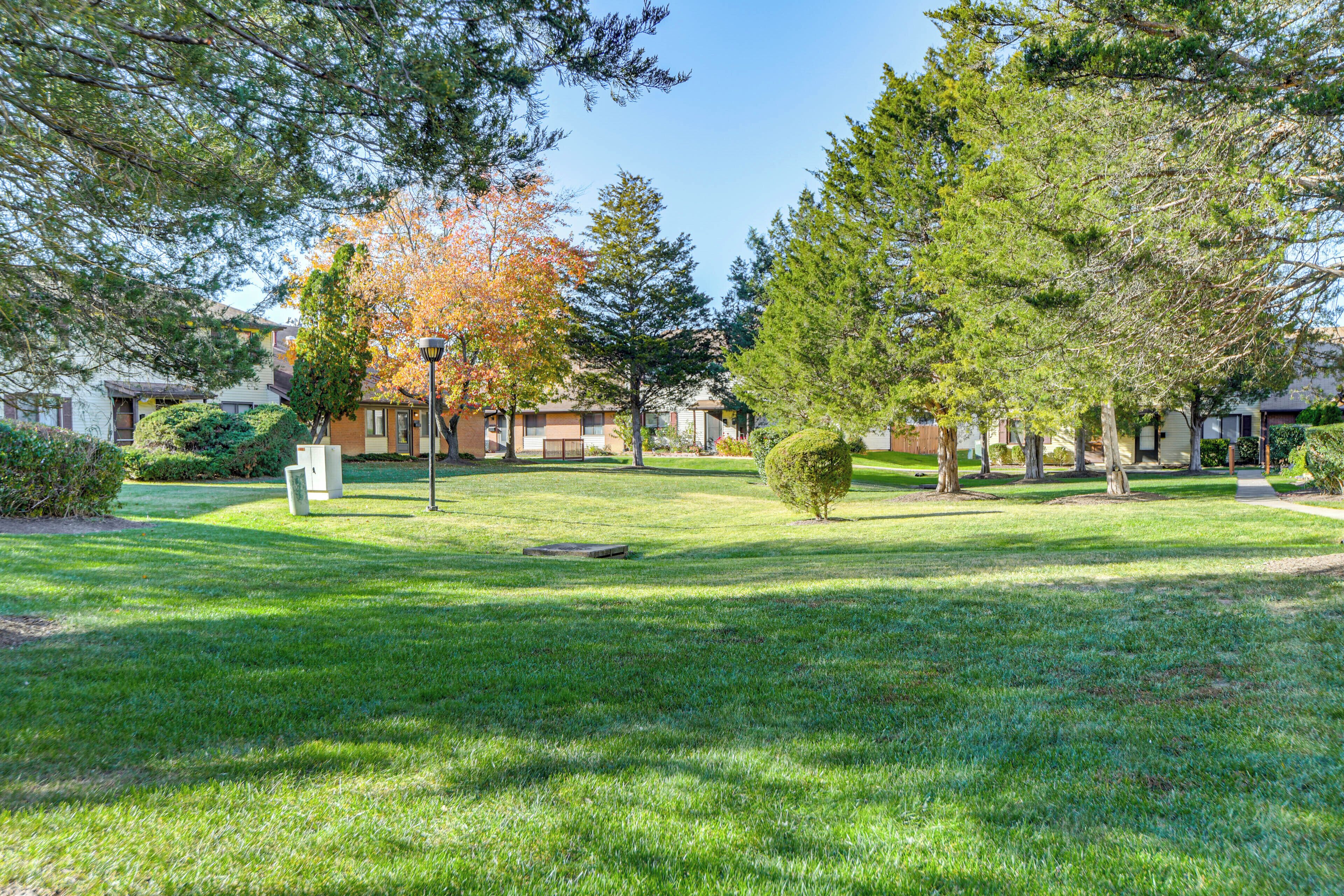 Apartment (1 Bedroom) | Interior