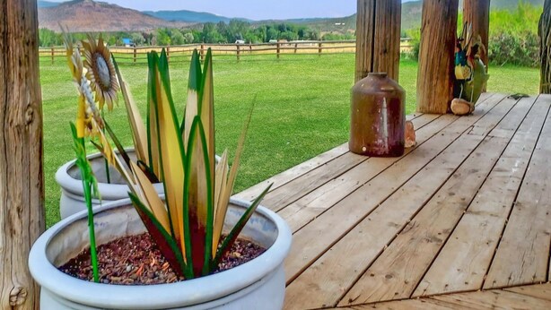 Una terraza de madera con una planta en maceta y un jarrón decorativo.
