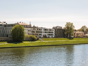 Un río con edificios a la otra orilla, un árbol y una zona cubierta de césped.