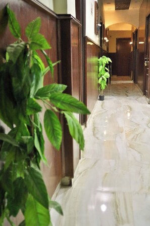 Un pasillo de mármol con una planta en maceta y una puerta al final.