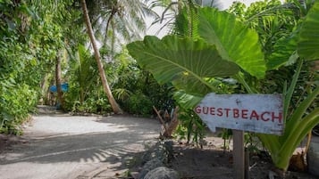 Private beach nearby, white sand