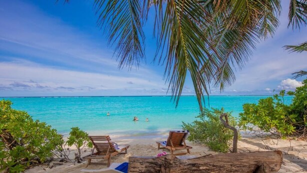 A beach with clear turquoise water, wooden lounge chairs, and a palm tree. - HI HEAVEN MALDIVES (Thoddoo)