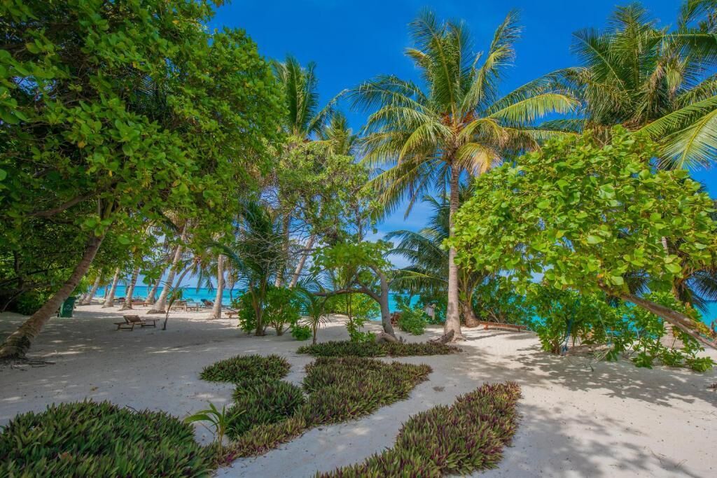 A tropical beach setting with palm trees, a sandy area, and a view of the sea.