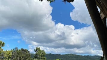 Vista desde la propiedad