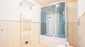 Shower, hair dryer, bidet, towels