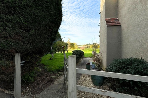 Back Garden