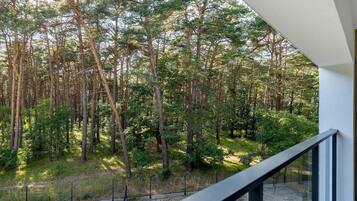 A balcony with a view of a forested area, a metal railing, and a paved ground.
