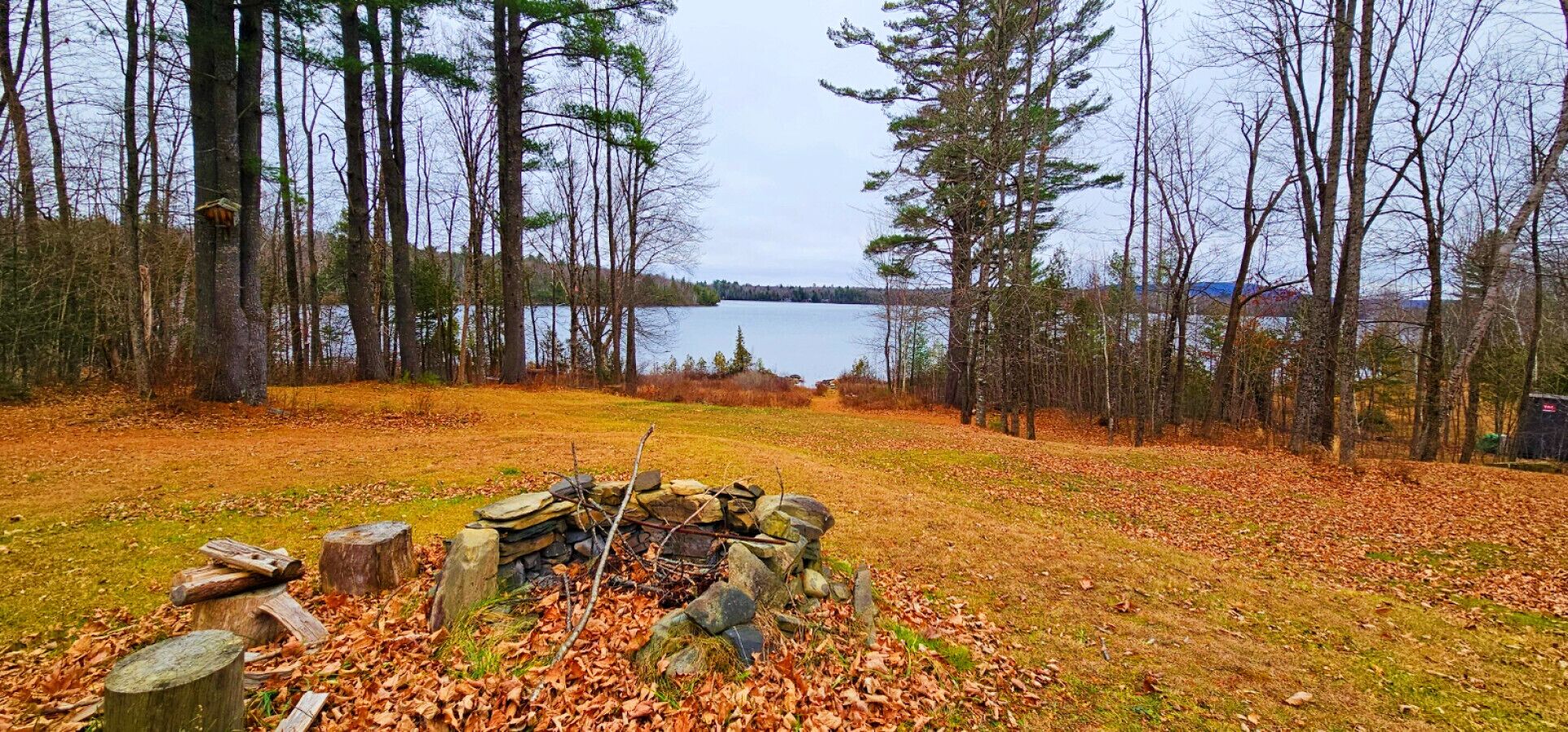Ein bewaldetes Gebiet mit einer Steinkaminkasse, umgeben von herabgefallenen Blättern.