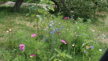 Ferienhaus | Außenbereich