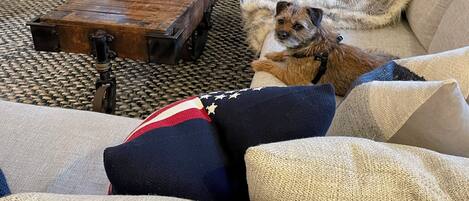 TV connectée, livres, chaîne hi-fi