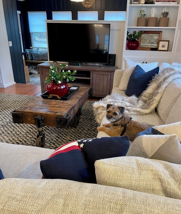 Smart TV, books, stereo