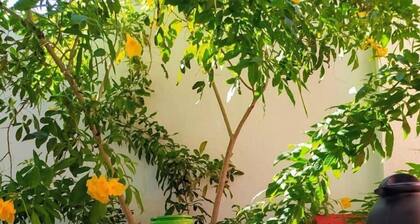 B&B Casa da Valeria