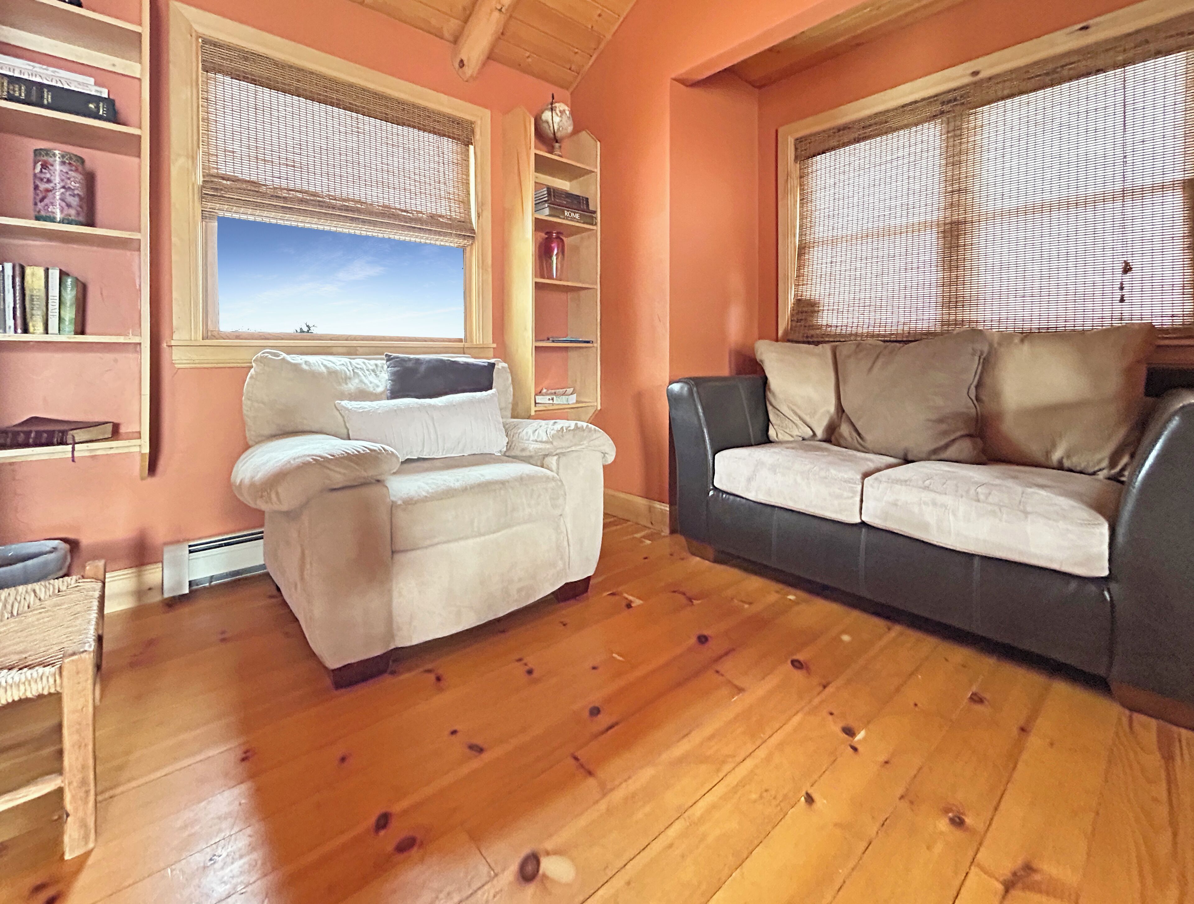 智能電視、壁爐、書籍